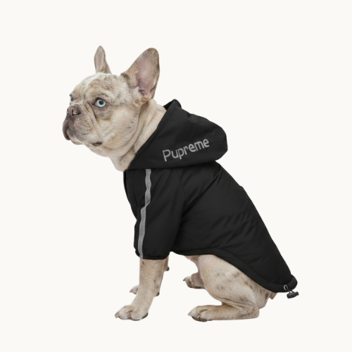 Pupreme Waterproof Coat