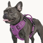 9 Colors - Dog Harness 