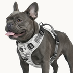 9 Colors - Dog Harness 