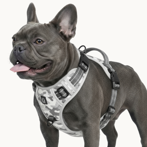 9 Colors - Dog Harness 