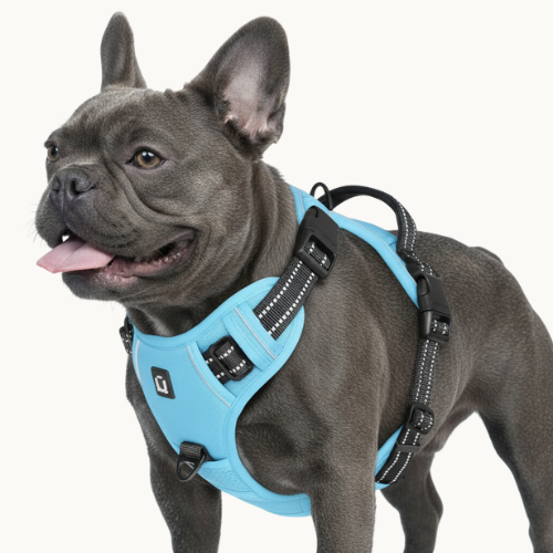 9 Colors - Dog Harness 