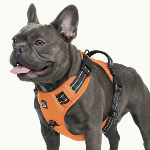 9 Colors - Dog Harness 