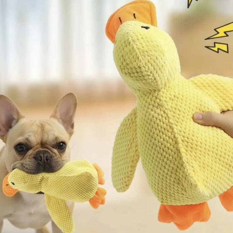 Squeaky duck toy