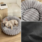 The "Ultimate Comfort Bed"