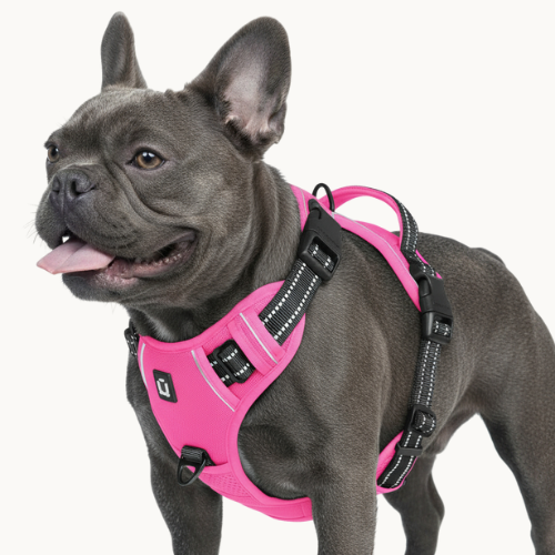 9 Colors - Dog Harness 