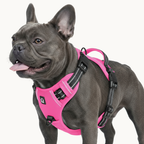 9 Colors - Dog Harness 