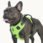 9 Colors - Dog Harness 