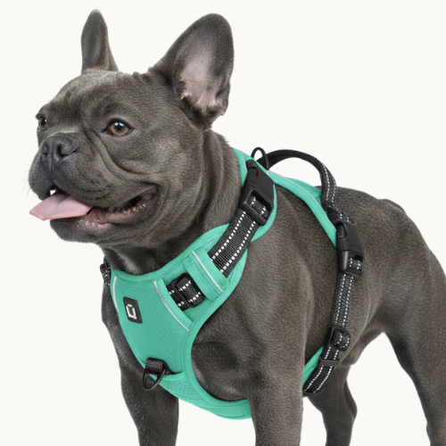 9 Colors - Dog Harness 