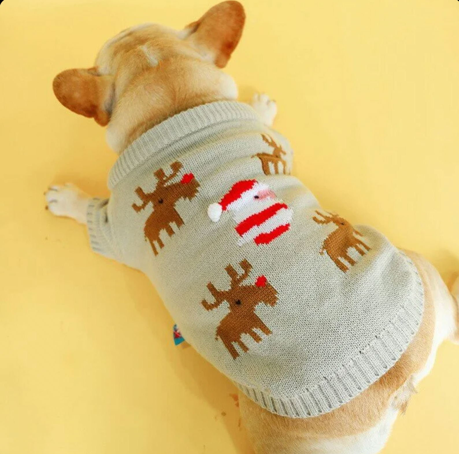 Elk Christmas Sweater