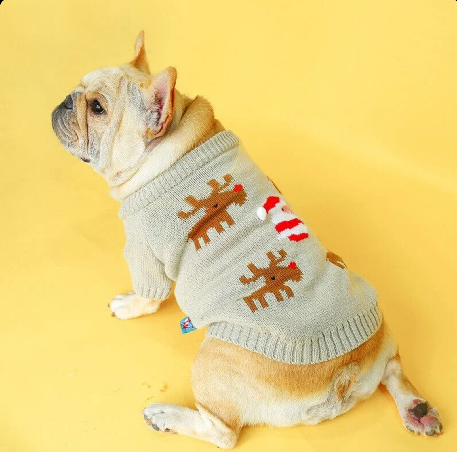 Elk Christmas Sweater