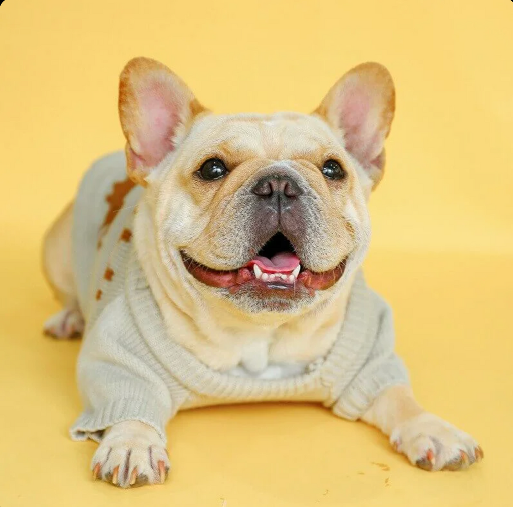 Elk Christmas Sweater