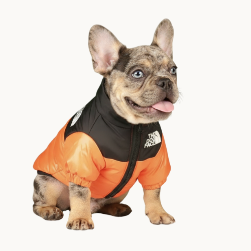 "The Dog Face" jacket