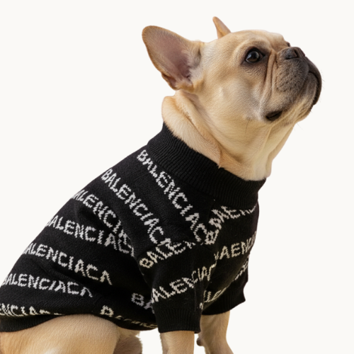 Trendy Balenci cardigan