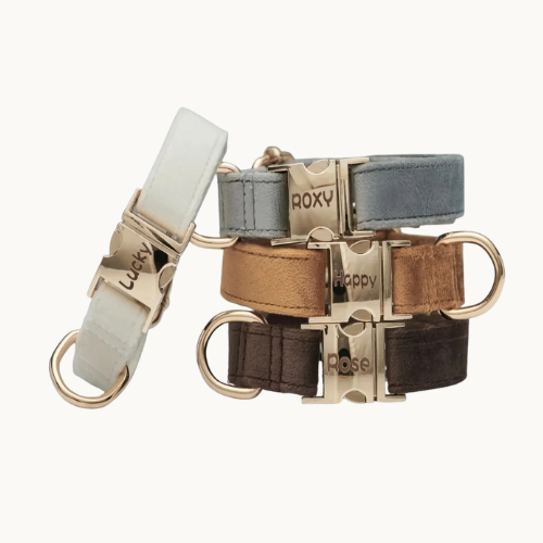 Velvet dog collar and leash set