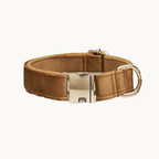 Velvet dog collar and leash set