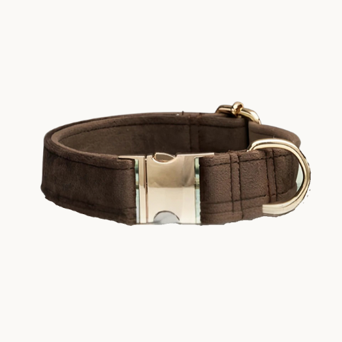 Velvet dog collar and leash set