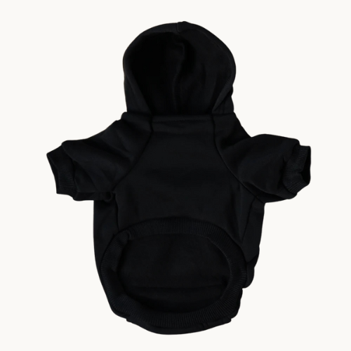 Luxury Bear Hoodie 