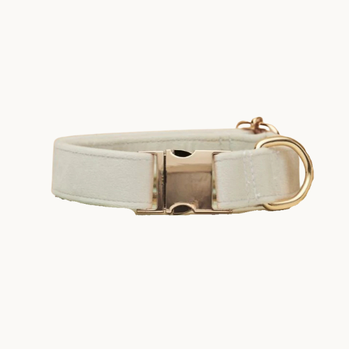 Velvet dog collar and leash set