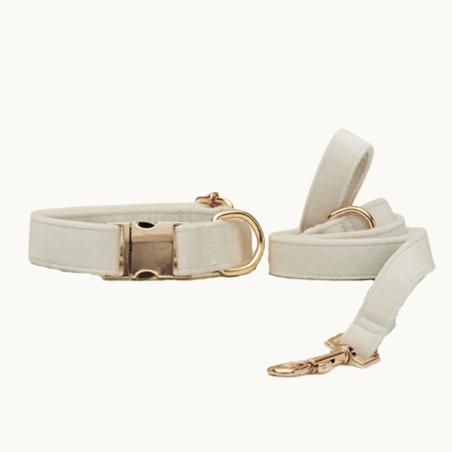 Velvet dog collar and leash set