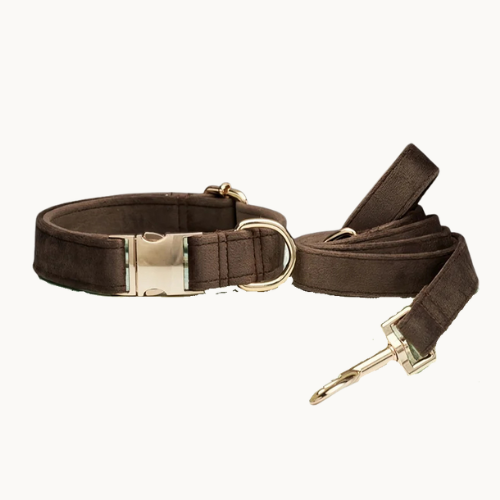 Velvet dog collar and leash set