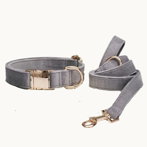 Velvet dog collar and leash set