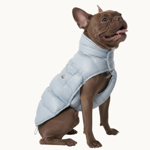 Moncler Poldo Dog Vest