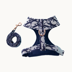 Fashion set with adjustable harness and leash 