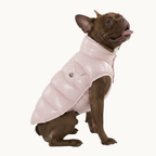 Moncler Poldo Dog Vest
