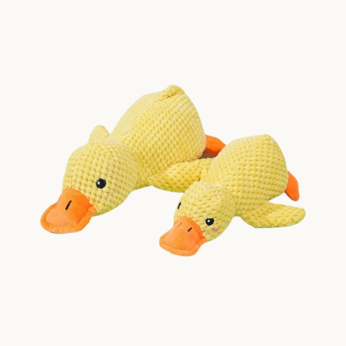 Squeaky duck toy