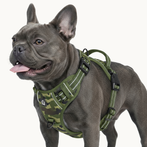 9 Colors - Dog Harness 