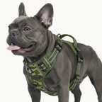 9 Colors - Dog Harness 