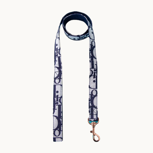 Fashion set with adjustable harness and leash 