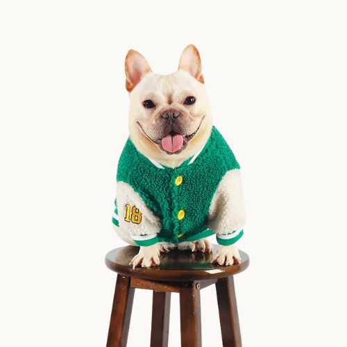 Baseball Dog Jacket