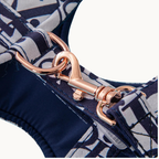 Fashion set with adjustable harness and leash 