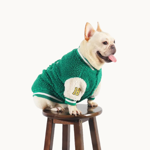 Baseball Dog Jacket