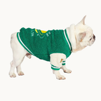 Baseball Dog Jacket