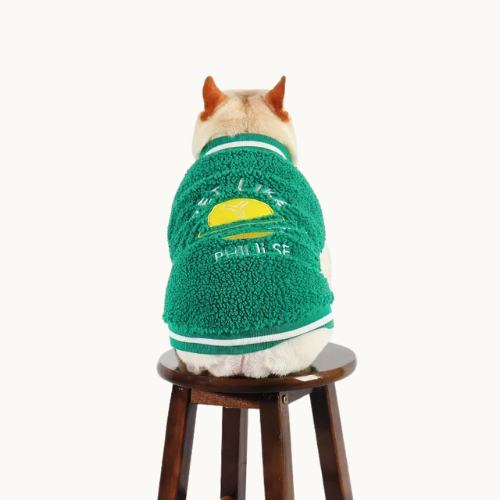 Baseball Dog Jacket