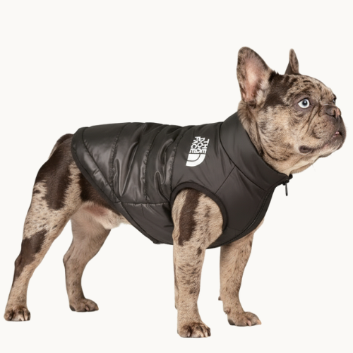"The Dog Face" jacket