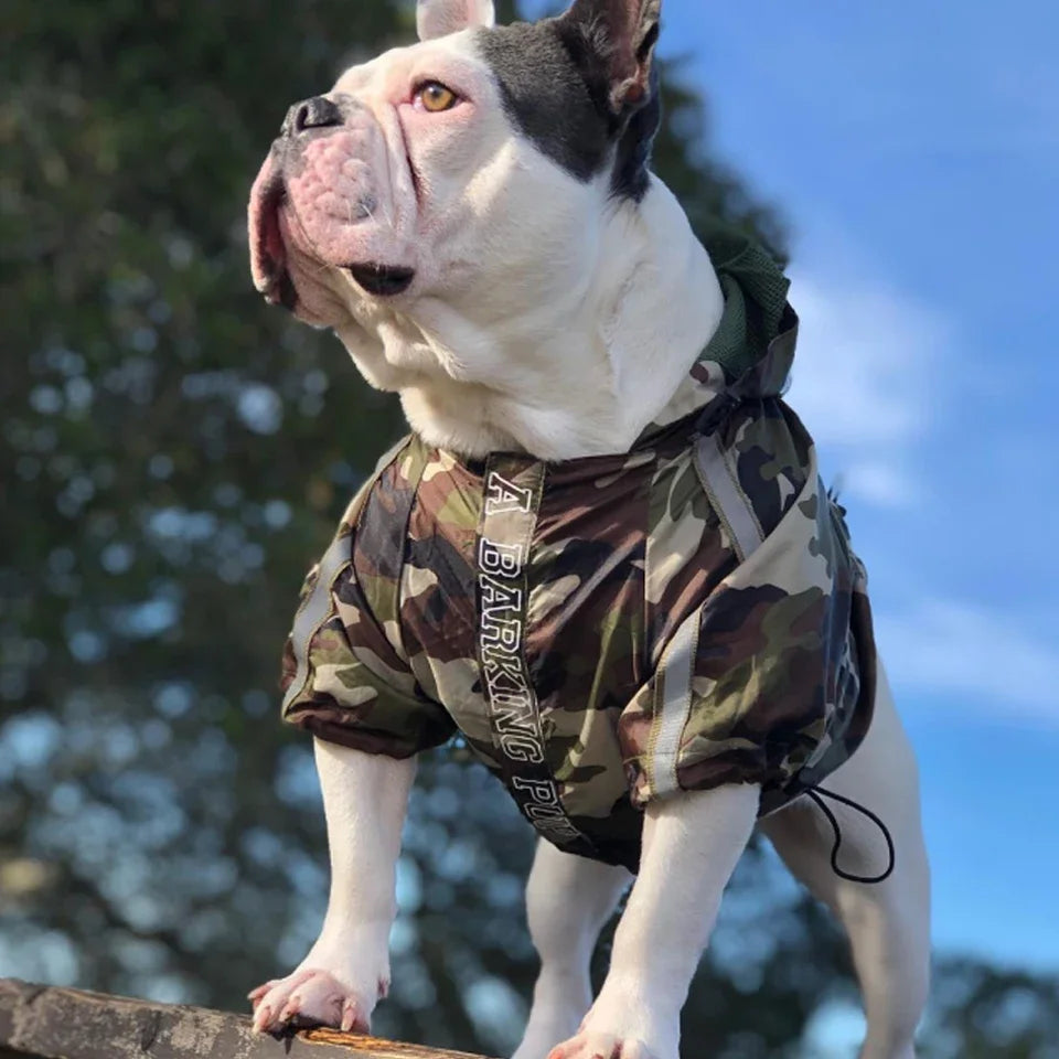 Camouflage dog hoodie 
