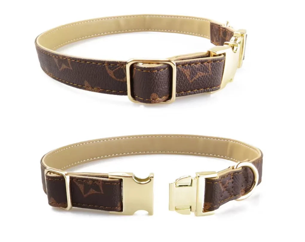 Luxury Designer Collar