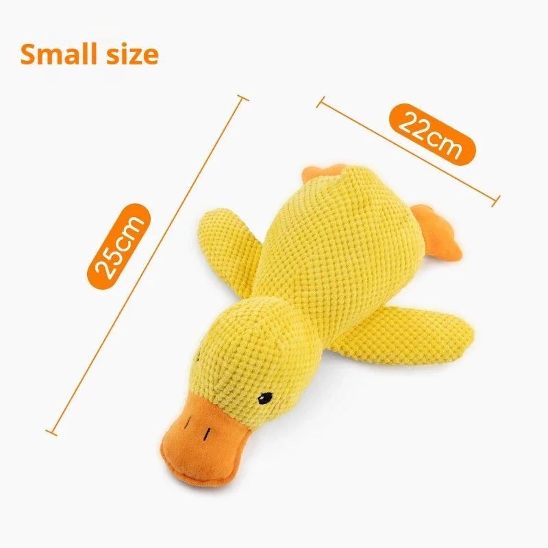 Squeaky duck toy