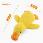 Squeaky duck toy