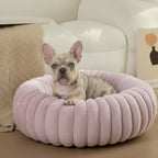 The "Ultimate Comfort Bed"