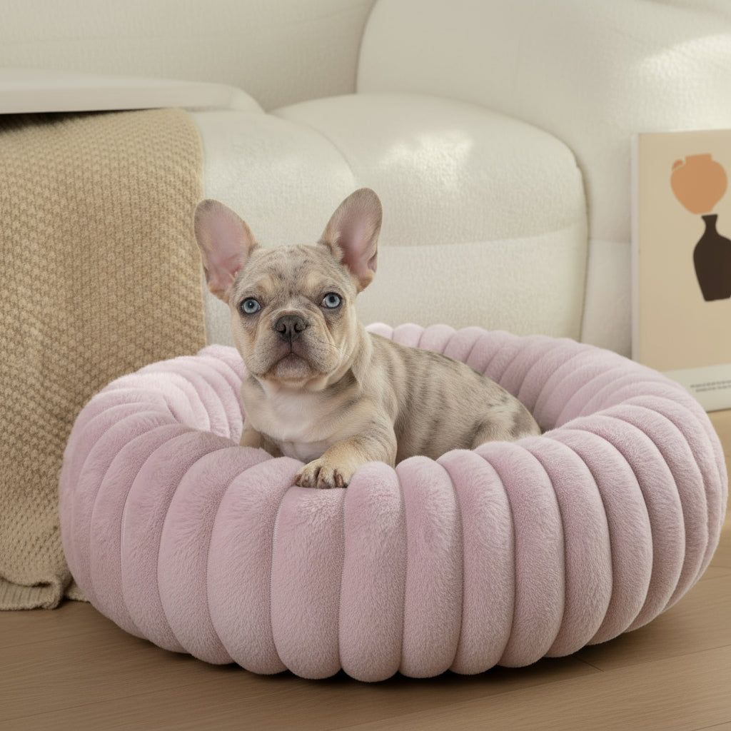 The "Ultimate Comfort Bed"