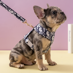 Fashion set with adjustable harness and leash 